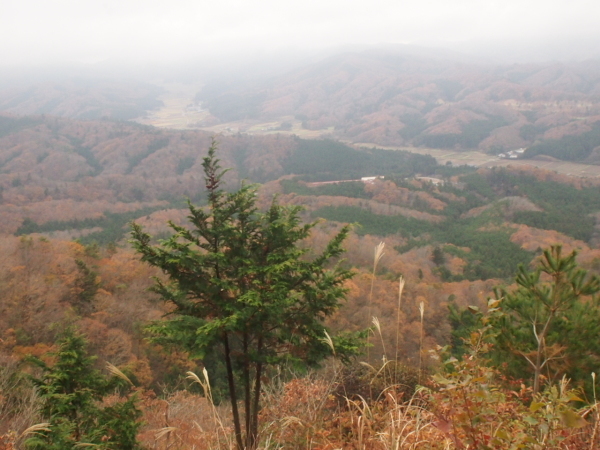 c0321967_08551302.jpg