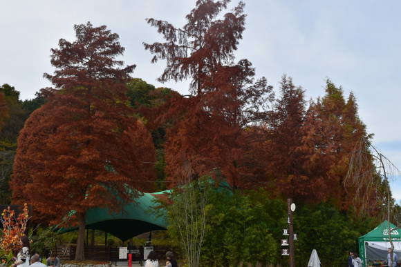 b0242873_01385916.jpg