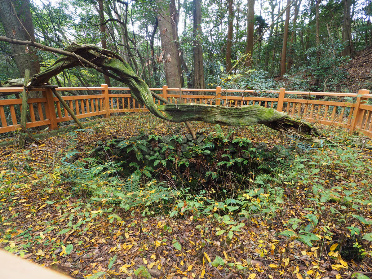 錦帯橋と岩国城_d0283373_1714250.jpg