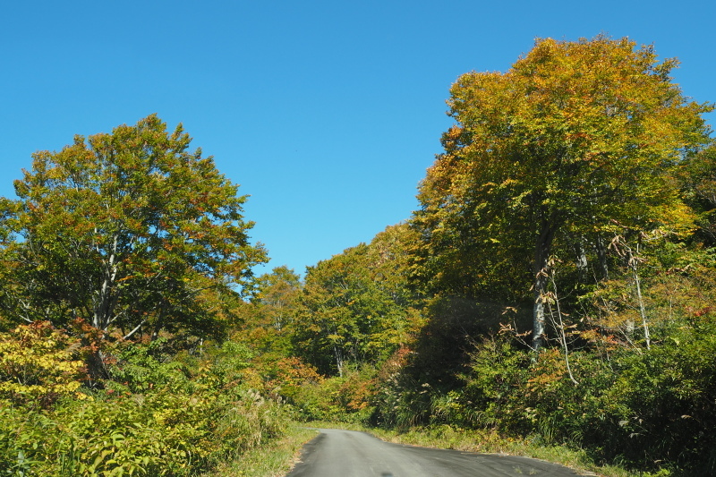 紅葉を求めて 野々海高原 私の好きな瞬間