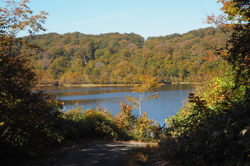紅葉を求めて 野々海高原 私の好きな瞬間 紅葉を求めて 野々海高原 私の好きな瞬間
