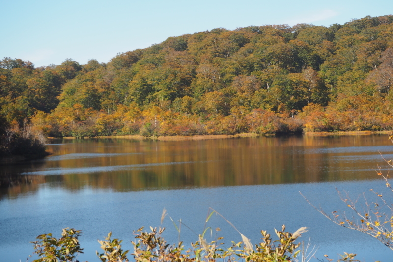 紅葉を求めて 野々海高原 私の好きな瞬間