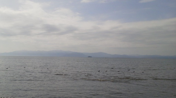 e0360778_11073767.jpg