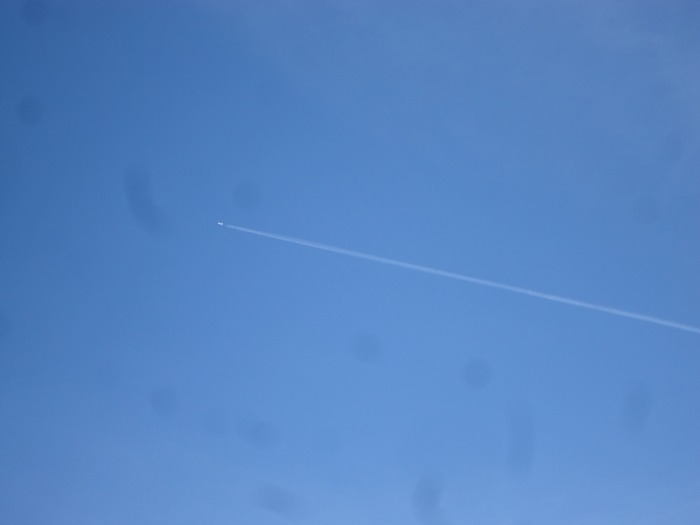 a0199979_19234745.jpg