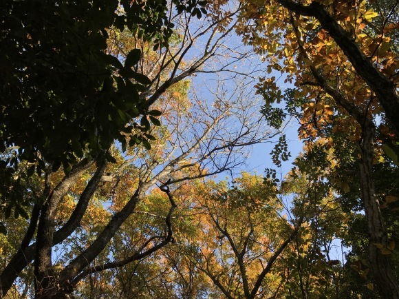 e0024081_20454592.jpg