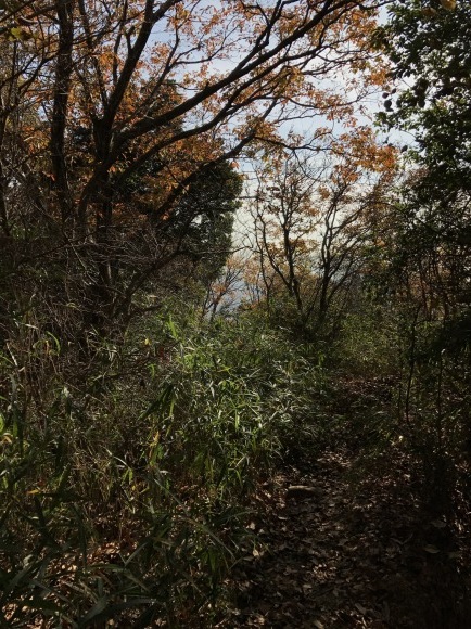 e0024081_20503203.jpg