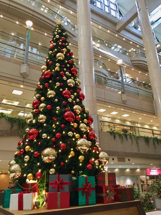 b0339488_23325844.jpg