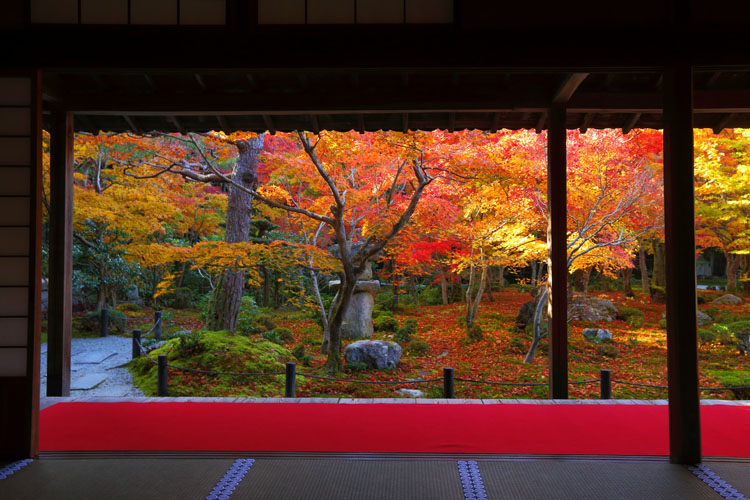 圓光寺_e0051888_1391697.jpg