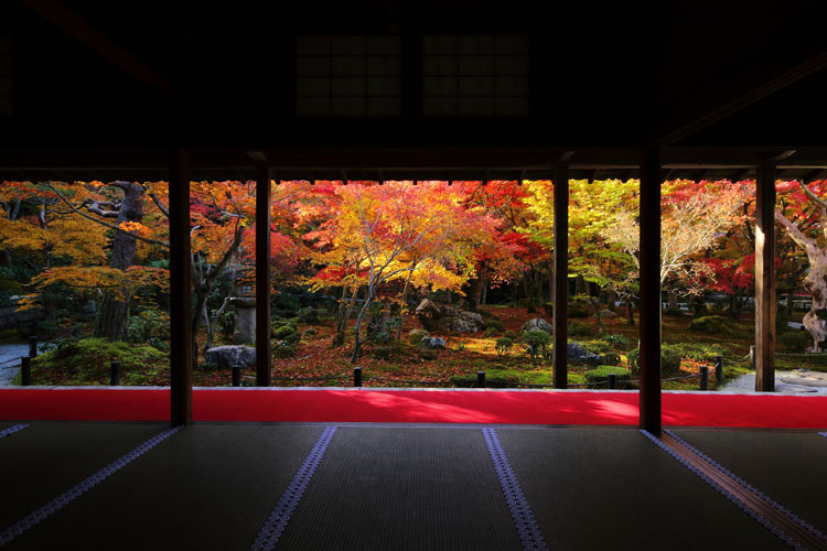 圓光寺_e0051888_1392924.jpg