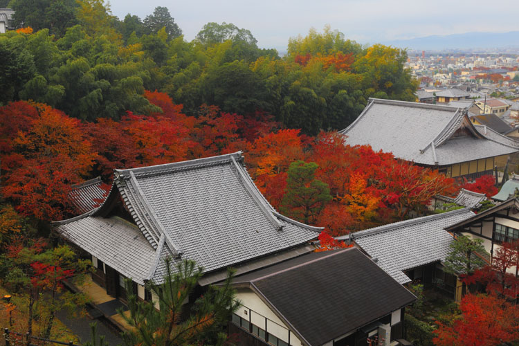 圓光寺_e0051888_1393821.jpg