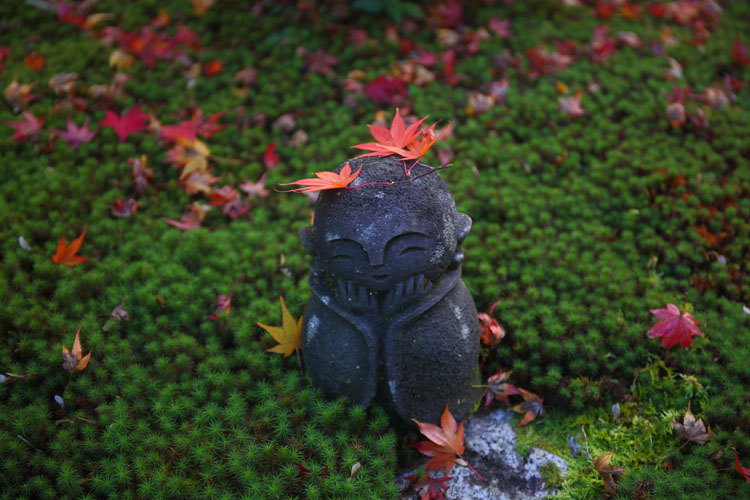圓光寺_e0051888_139580.jpg