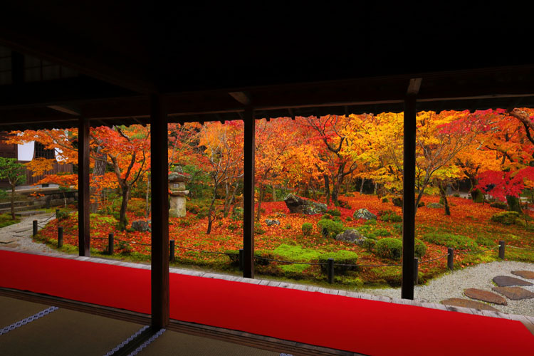 圓光寺_e0051888_139581.jpg
