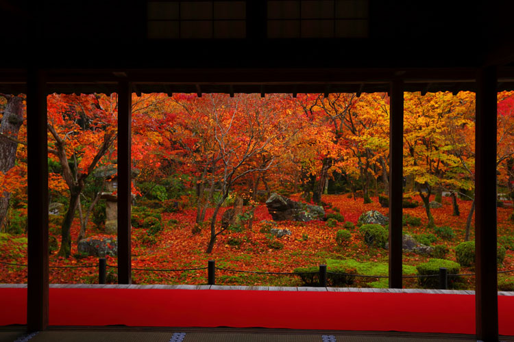 圓光寺_e0051888_1401425.jpg