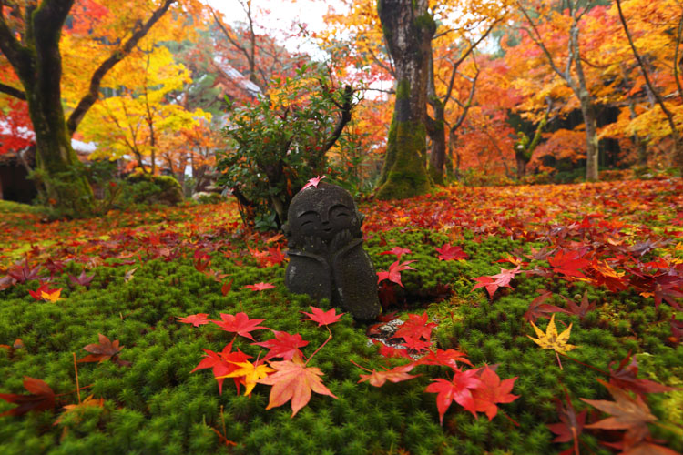 圓光寺_e0051888_1402836.jpg