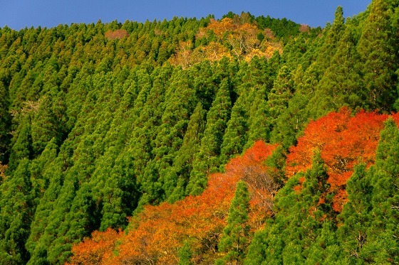 e0176993_08013521.jpg