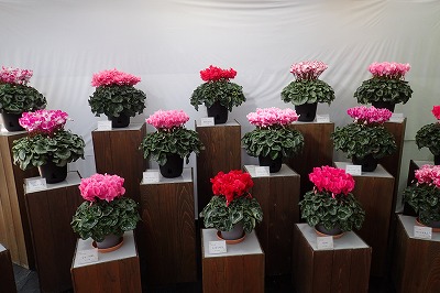 f0203094_15244297.jpg