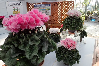 f0203094_15254320.jpg