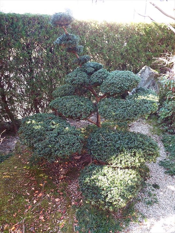 c0108198_16211243.jpg