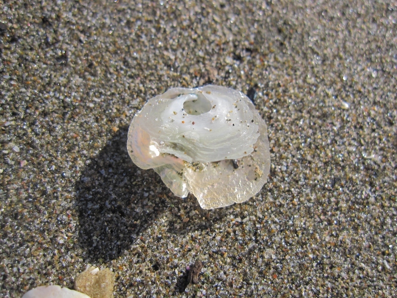 c0204298_14440540.jpg
