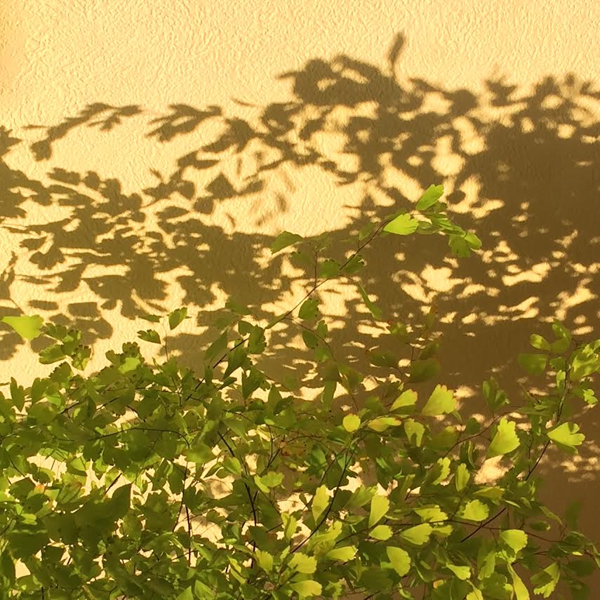 e0303598_1293664.jpg