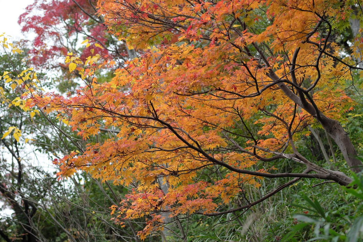 b0138101_1811951.jpg