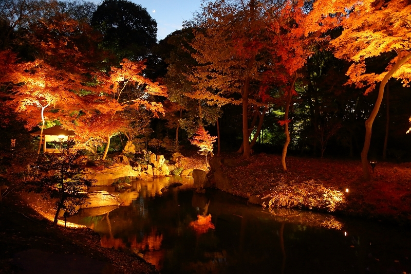 東京で一番ロマンティックな紅葉スポットは、ライトアップで人気ナンバーワンです（文京区、六義園）_b0291402_19364214.jpg