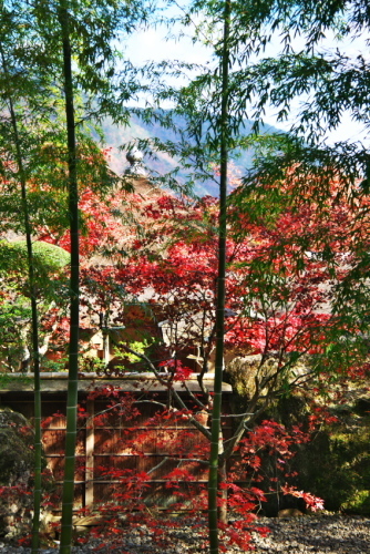 a0263109_12272288.jpg