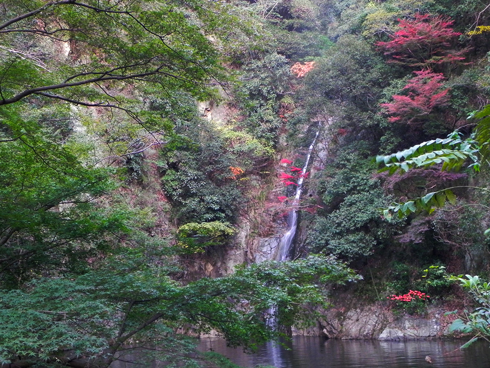 b0182613_16121162.jpg