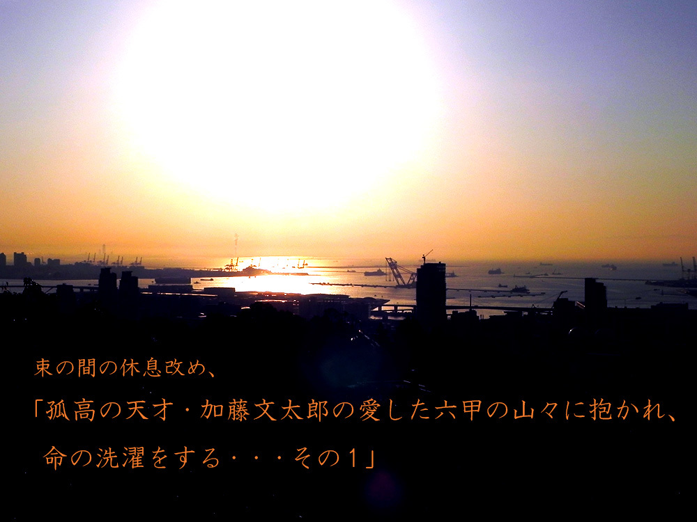 b0182613_20365959.jpg