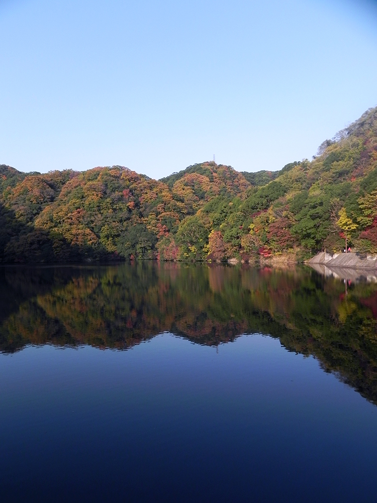 b0182613_22213619.jpg