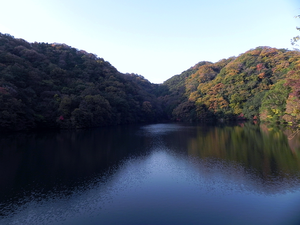 b0182613_22215183.jpg