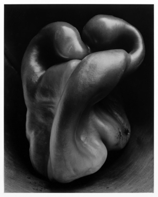 ルース・バーンハートのポスター「Ruth Bernhard - Classic Torso」（1980）_a0155815_17543498.jpg