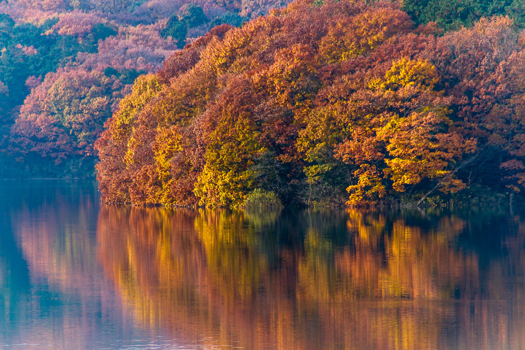 晩秋の狭山湖_b0010915_16314976.jpg