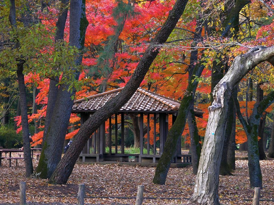 江戸東京たてもの園・・・撮影会_a0031821_17373848.jpg