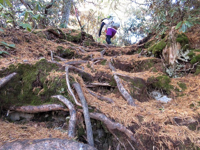 北相木村　御座山は八ヶ岳の展望台　　　　　Mount Ogura in Kitaaiki, Nagano_f0308721_1721402.jpg