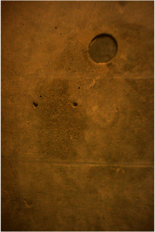 b0226423_2259892.jpg