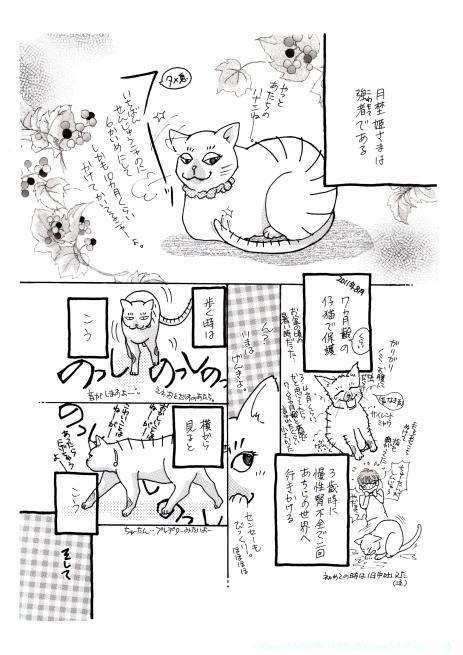 猫まんが・月埜姫さま昇格する？_b0251624_13014501.jpg