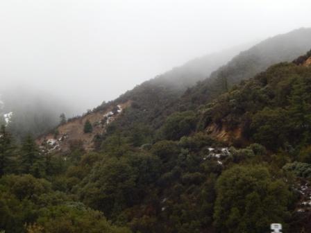 b0368324_15423494.jpg