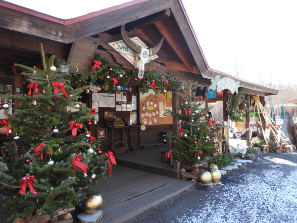 12月になりました_b0174425_15580281.jpg