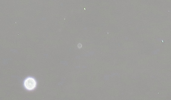 c0331825_19291735.jpg