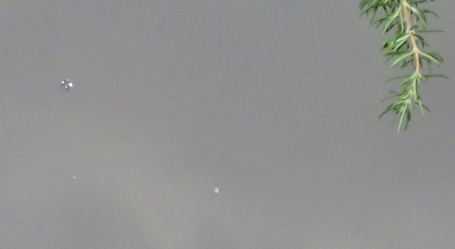 c0331825_20115658.jpg