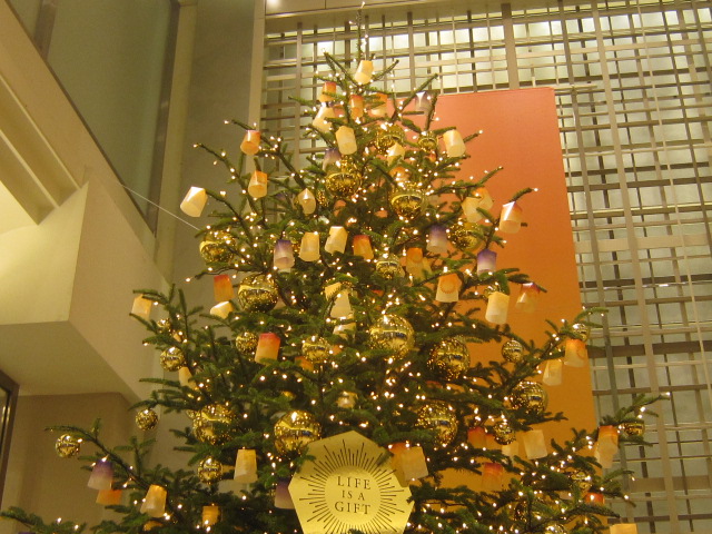 d0162225_184212.jpg