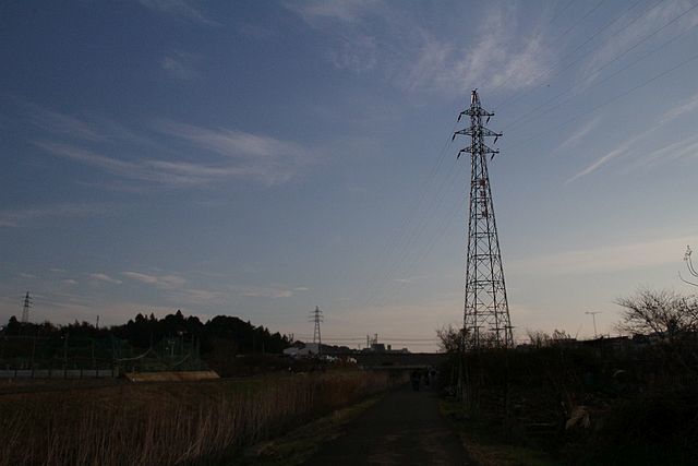 12.4　新・はなが遊びにきた♪_e0108126_19571957.jpg