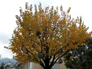 f0122629_19005233.jpg