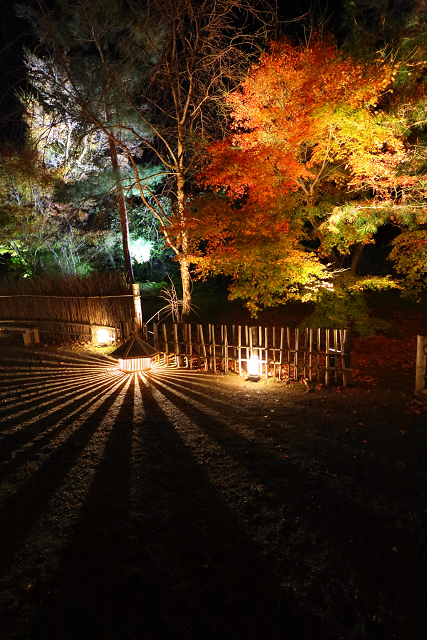 紅葉の京都2016 －宝厳院　紅葉ライトアップ－_b0169330_16293448.jpg