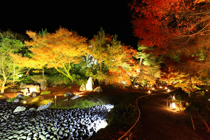 紅葉の京都2016 －宝厳院　紅葉ライトアップ－_b0169330_16373100.jpg