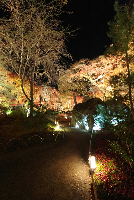 紅葉の京都2016 －宝厳院　紅葉ライトアップ－_b0169330_17123849.jpg