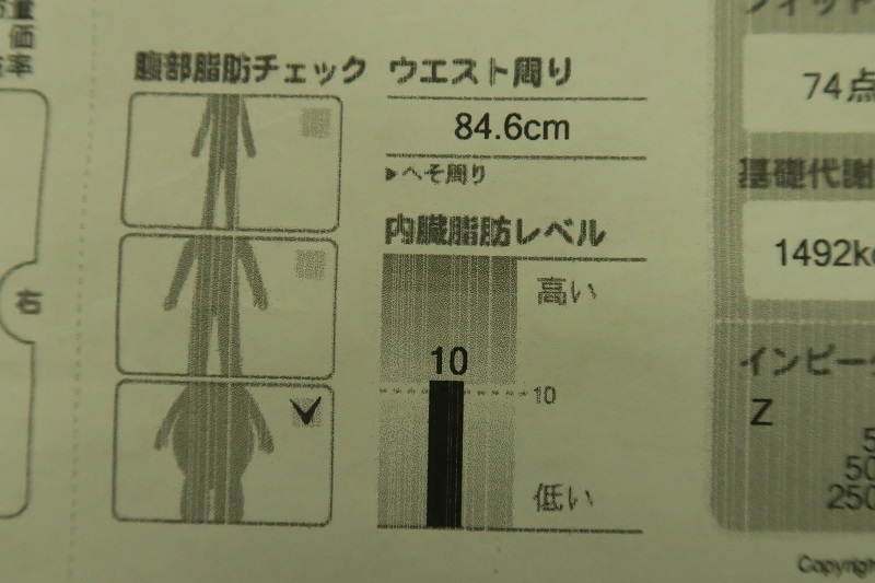 糖質制限と多走行車専用エンジンオイル_f0076731_21313205.jpg