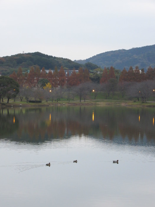 雨の朝_b0014732_10033752.jpg