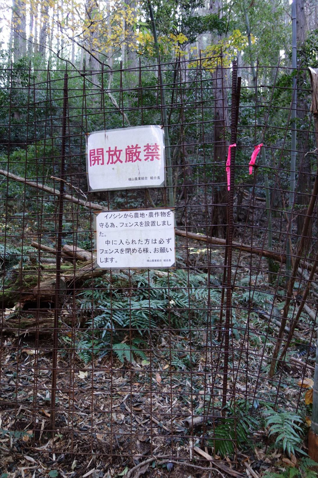 △ 蒲生野に浮かぶ雪野山 お気軽展望ハイキング △_f0348933_10261008.jpg